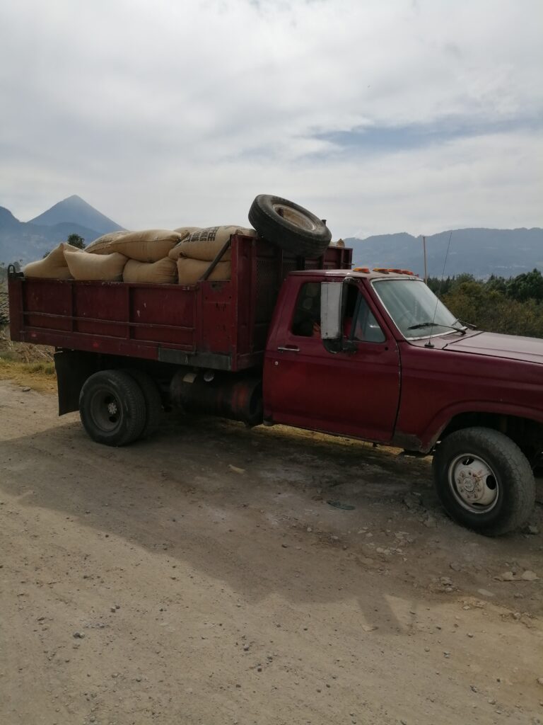 收購瓜地馬拉咖啡小農